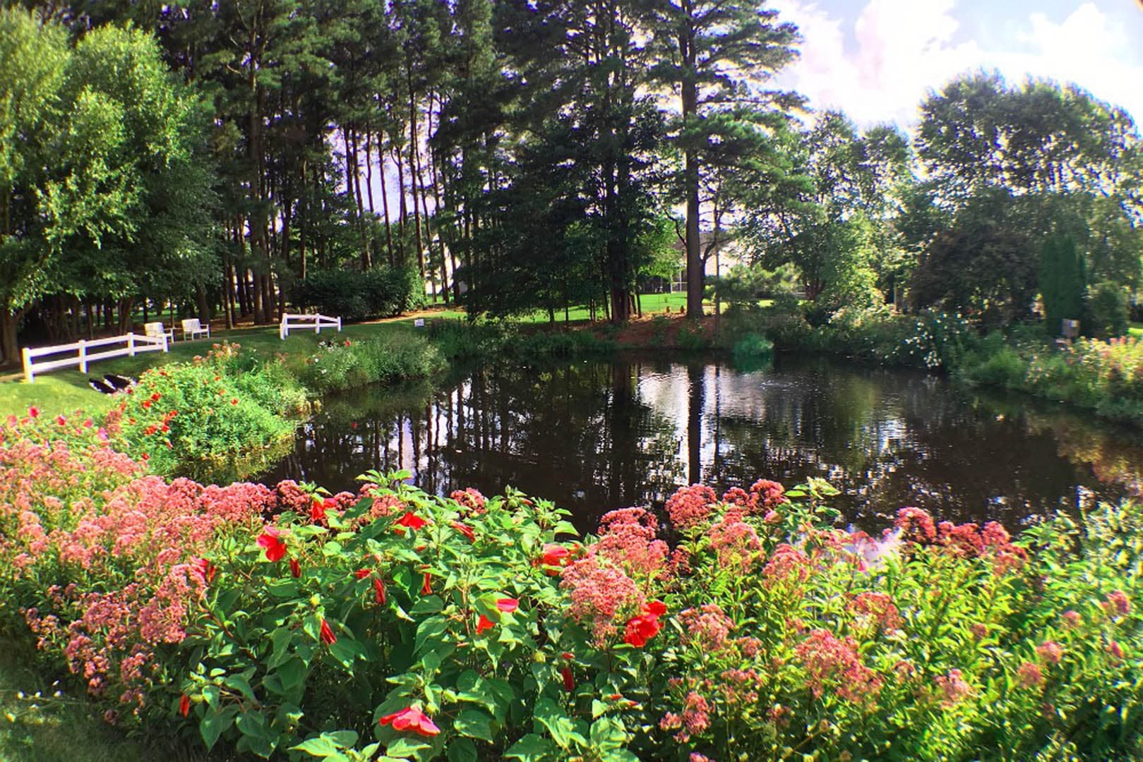 Ornamental retention pond surrounded by mature trees, white fencing, and vibrant pink and red flowering shrubs in a residential setting