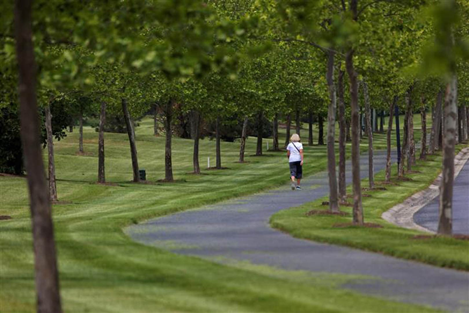 Pedestrian walking path winding through a tree-lined residential community common area with manicured lawns