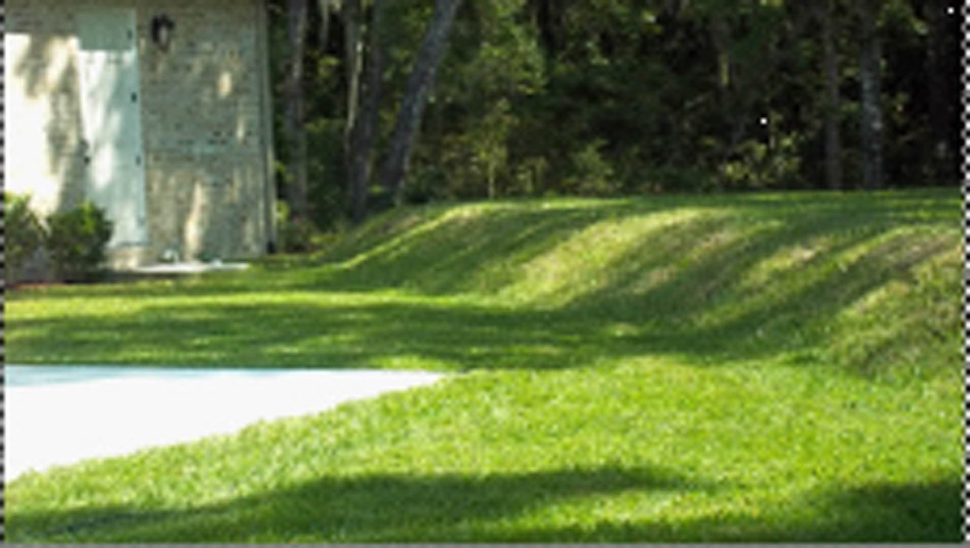 Landscaped residential yard showing a grass-covered septic drainfield mound system with parallel ridges adjacent to a home and wooded tree line