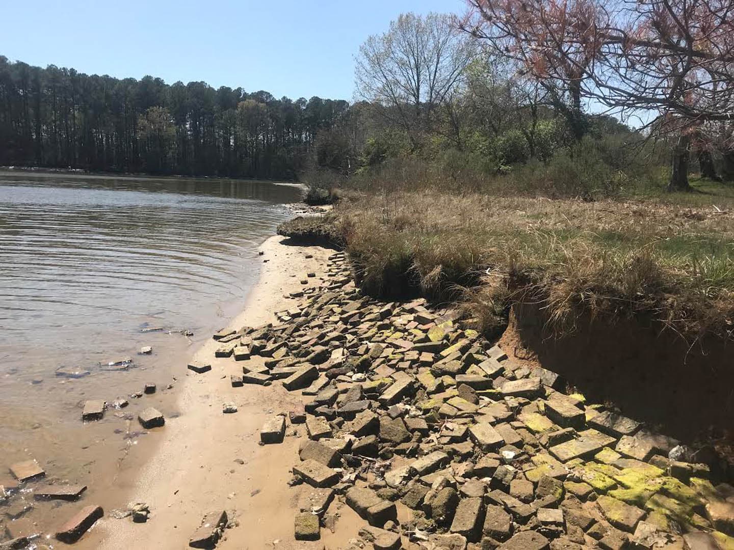 Eroding shoreline along a tidal waterway showing failed riprap stone revetment scattered along a sandy beach with undercut banks and dormant marsh vegetation in early spring