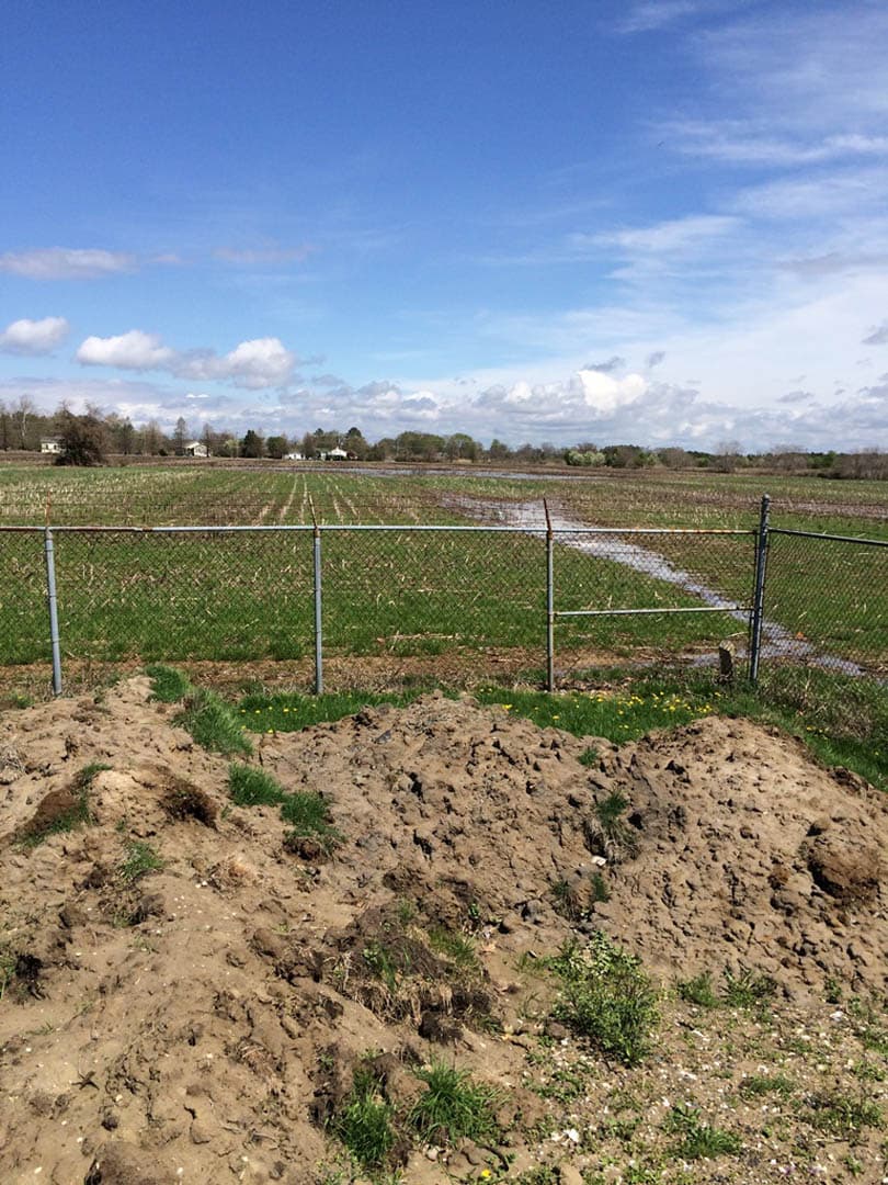 Bioretention & Tide Gates