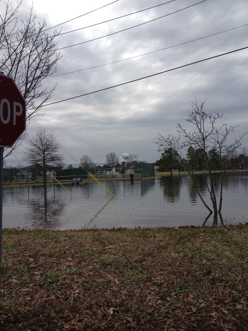 Bioretention & Tide Gates - photo 5