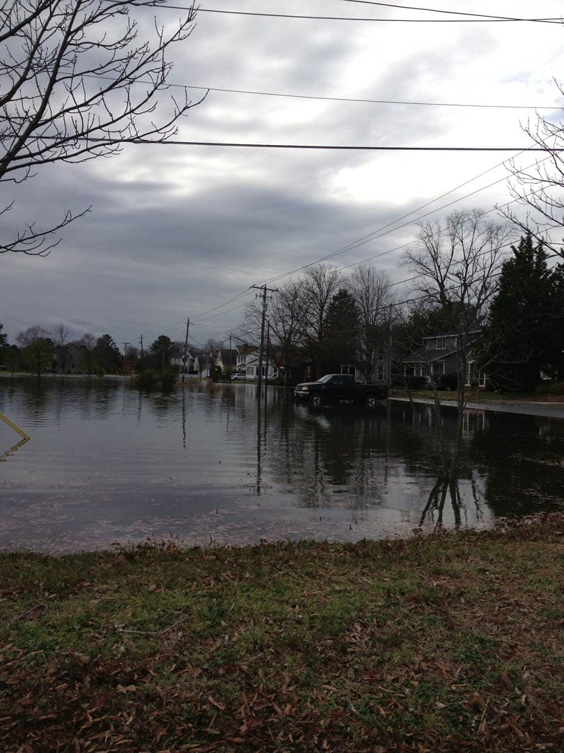 Bioretention & Tide Gates - photo 6