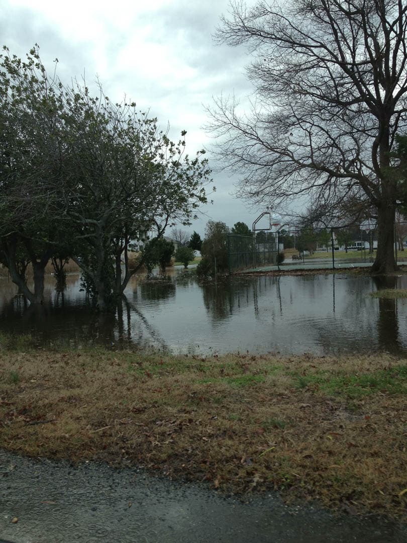 Bioretention & Tide Gates - photo 7
