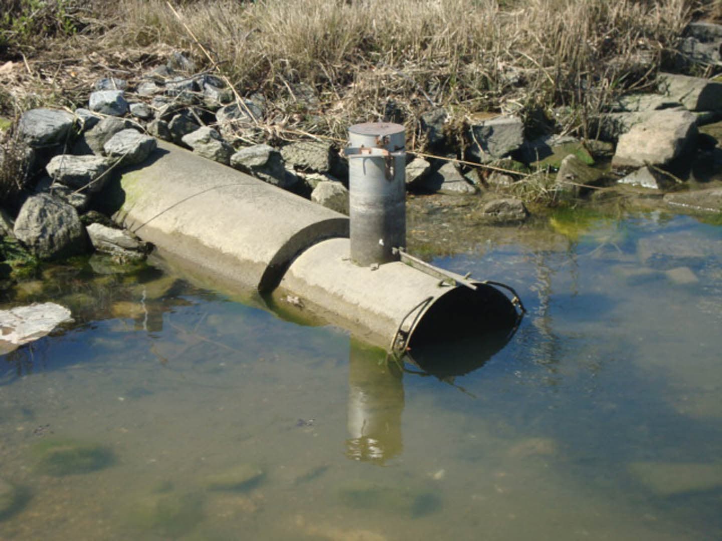 Bioretention & Tide Gates - photo 8