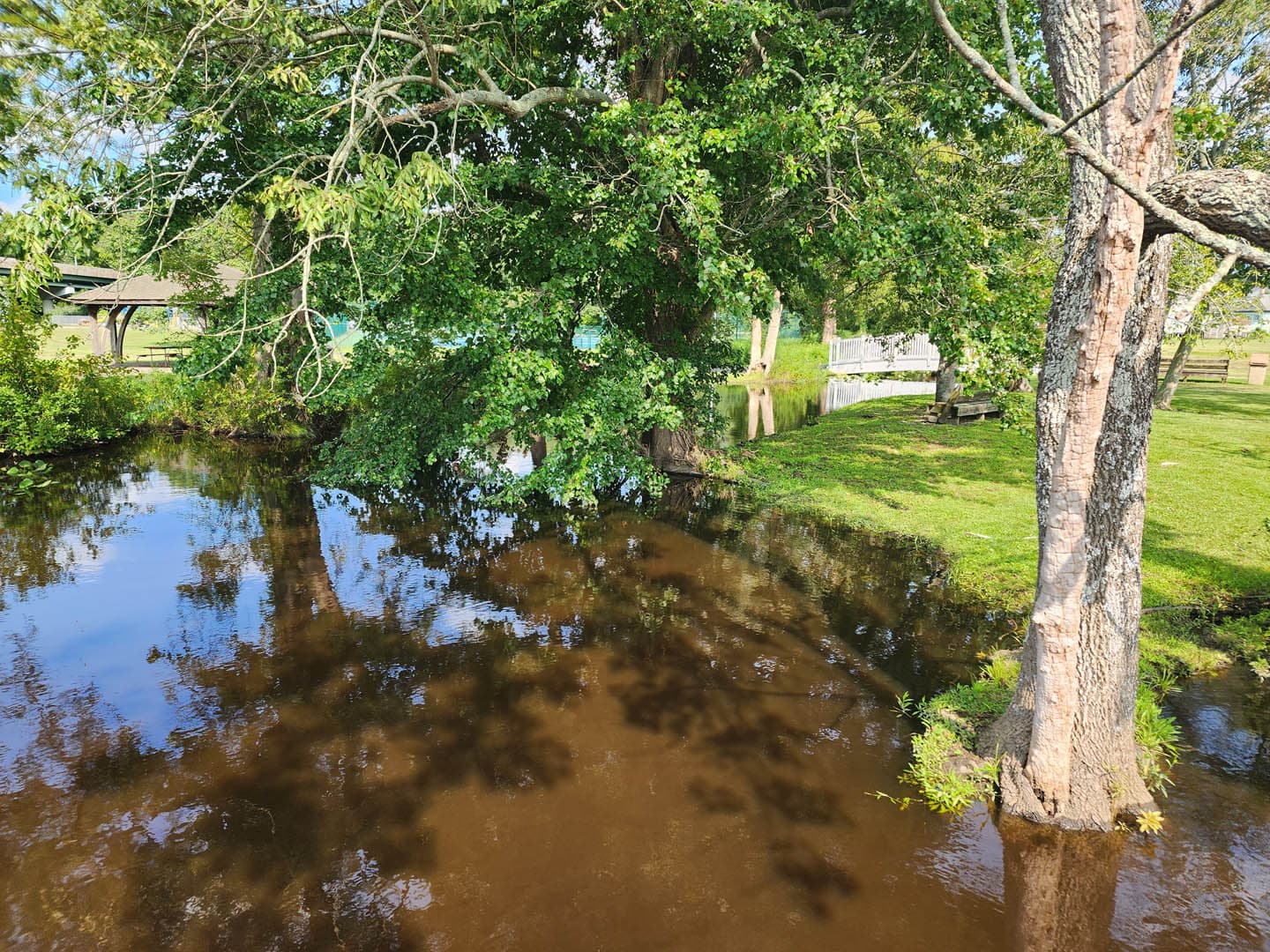 Cypress Park Resilience Project - photo 10