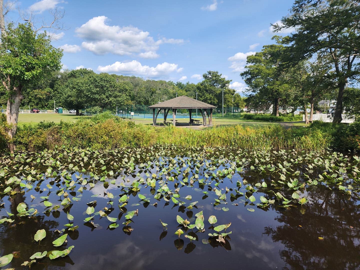 Cypress Park Resilience Project - photo 11