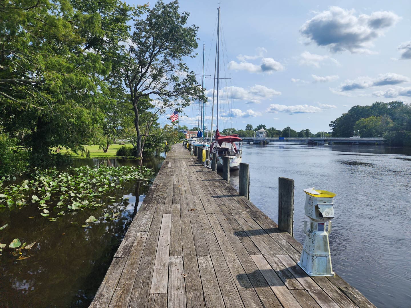 Cypress Park Resilience Project - photo 12