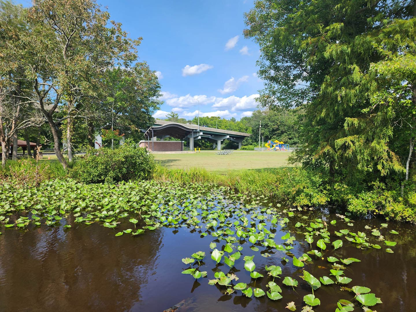 Cypress Park Resilience Project - photo 13