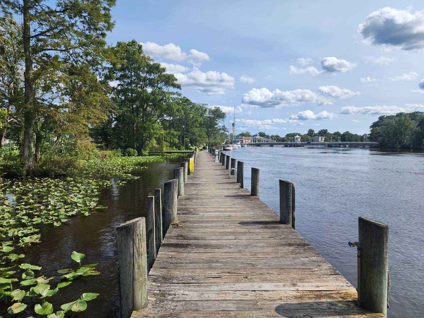 Cypress Park Resilience Project - photo 14