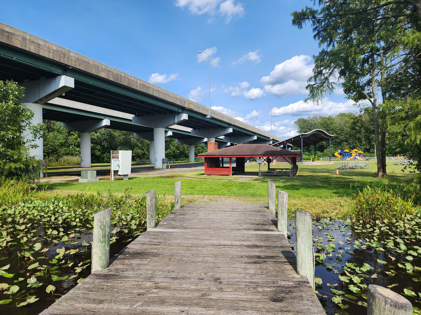 Cypress Park Resilience Project - photo 15
