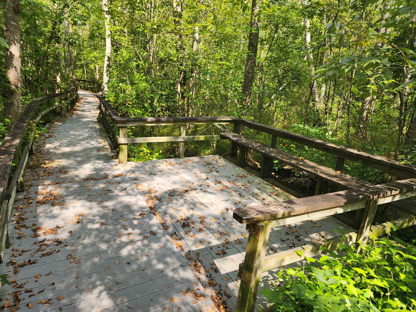 Cypress Park Resilience Project - photo 17