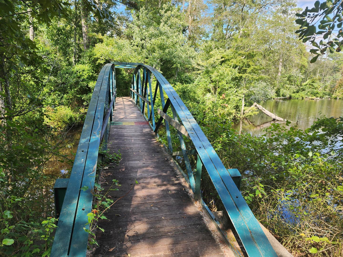 Cypress Park Resilience Project - photo 18
