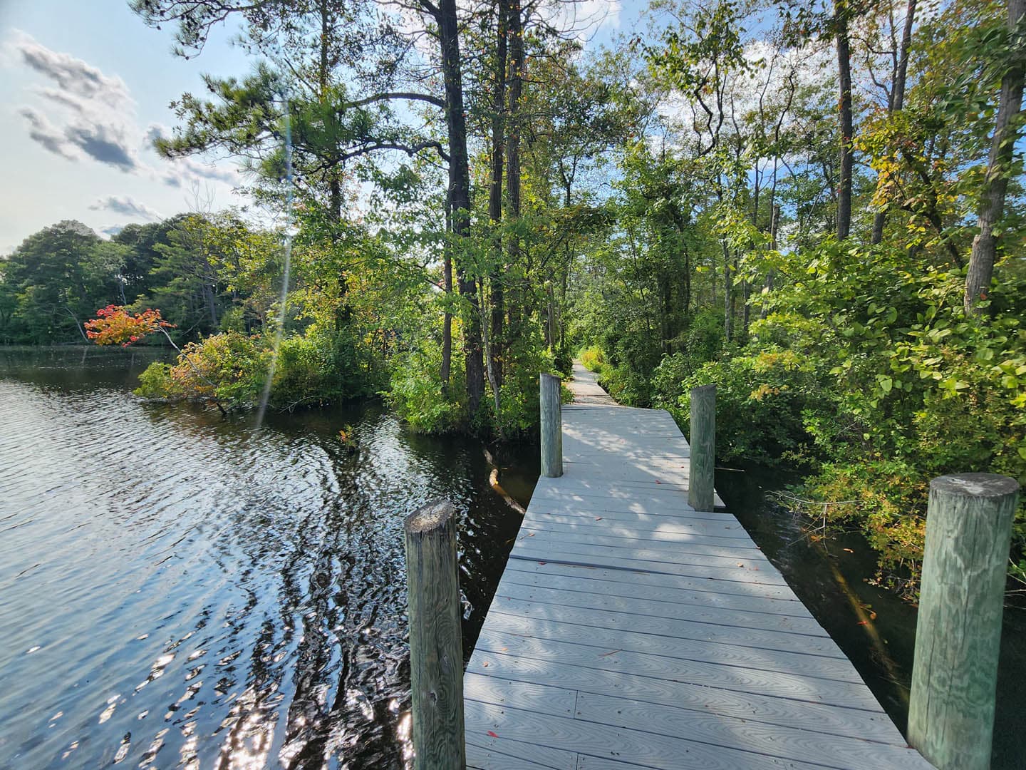 Cypress Park Resilience Project - photo 19