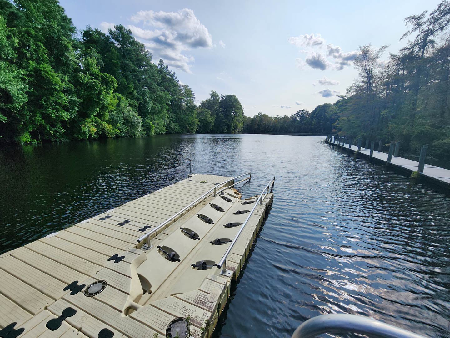 Cypress Park Resilience Project - photo 21