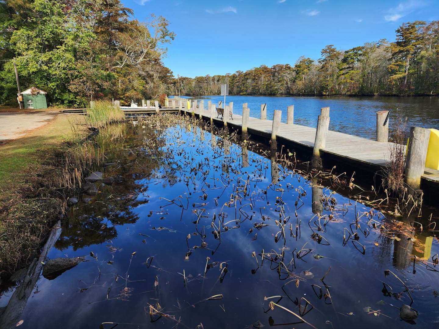 Cypress Park Resilience Project - photo 22