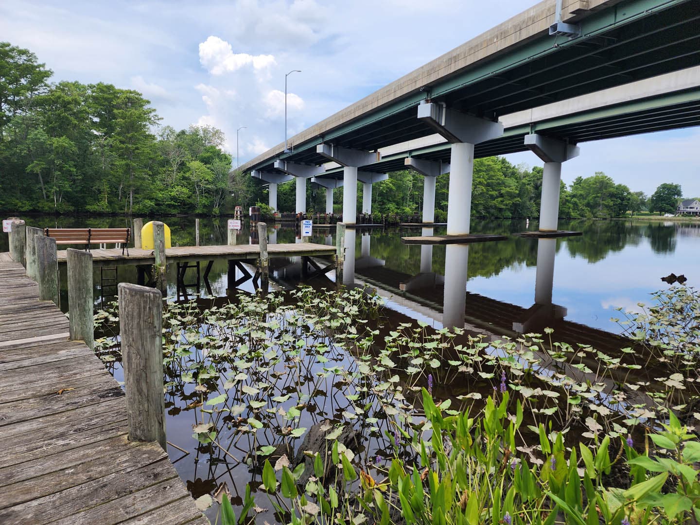 Cypress Park Resilience Project - photo 3