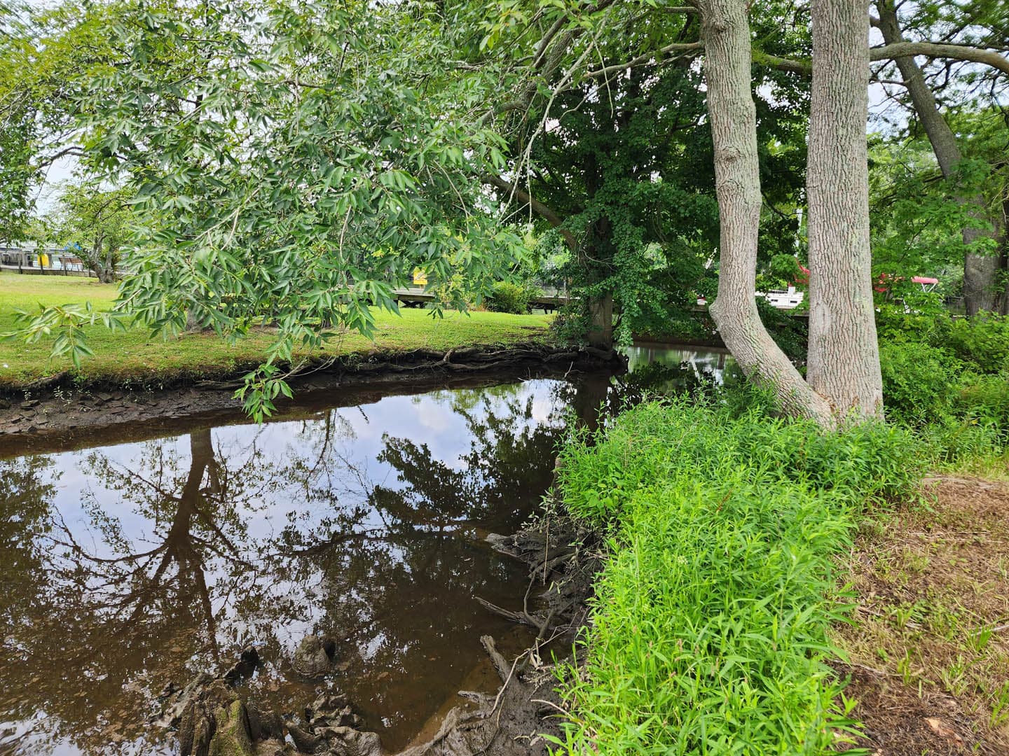 Cypress Park Resilience Project - photo 5
