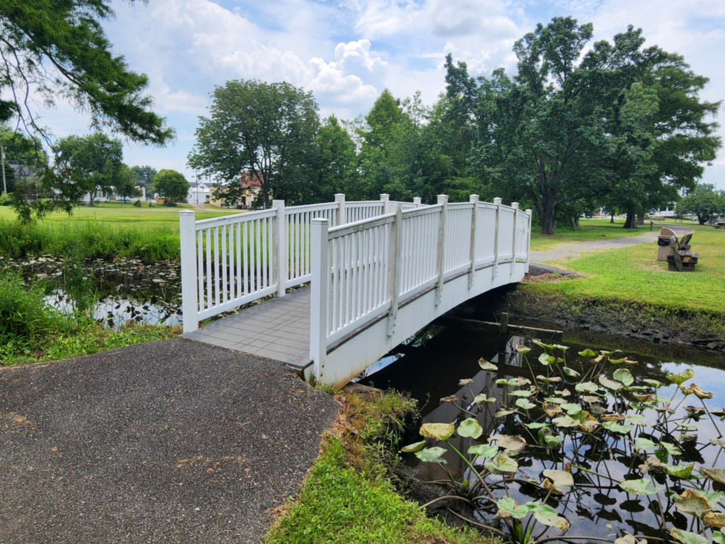 Cypress Park Resilience Project - photo 6