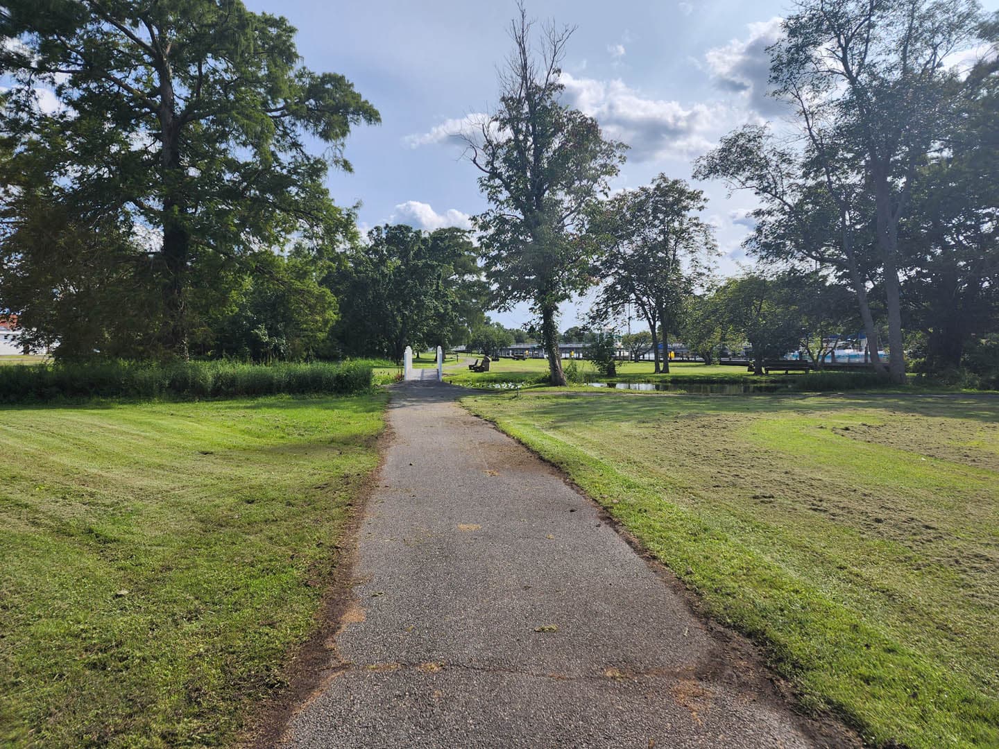 Cypress Park Resilience Project - photo 7