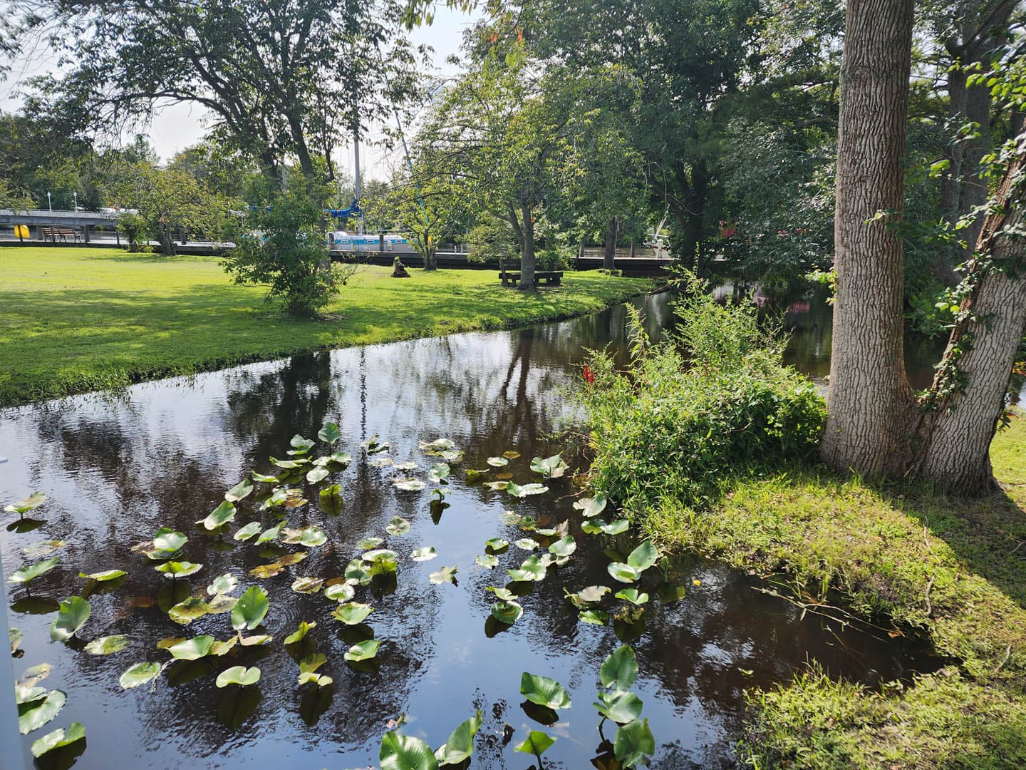 Cypress Park Resilience Project - photo 8