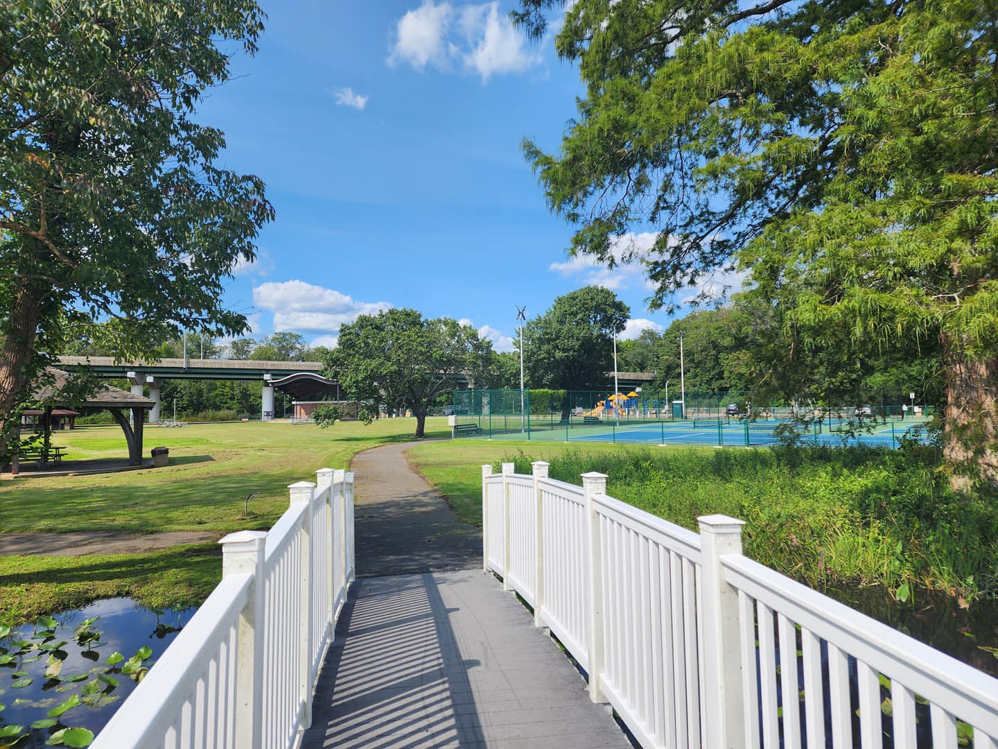 Cypress Park Resilience Project - photo 9