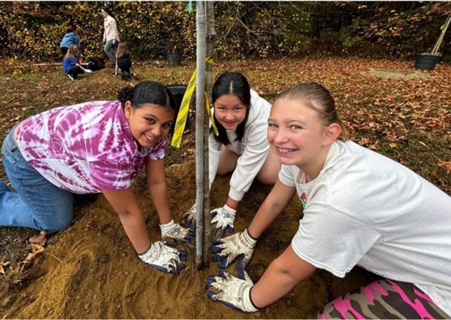 Denton Elementary School Stormwater Project