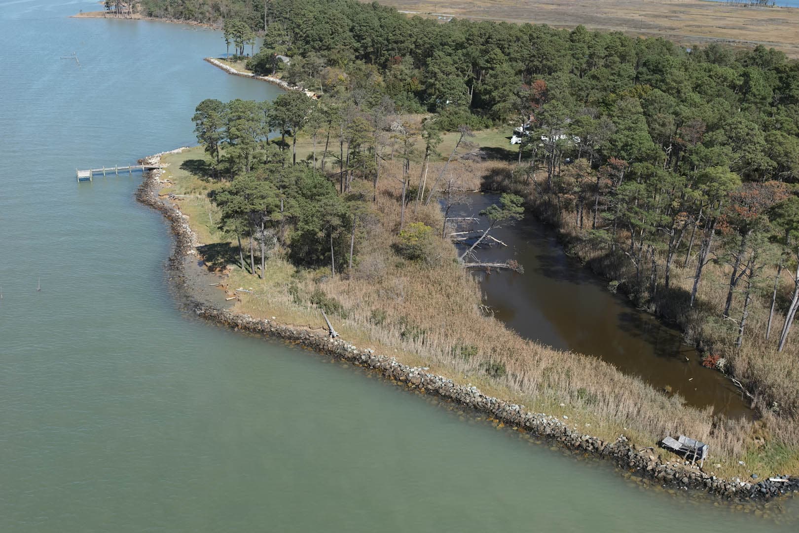 Dorchester County Shoreline Resilience - photo 10