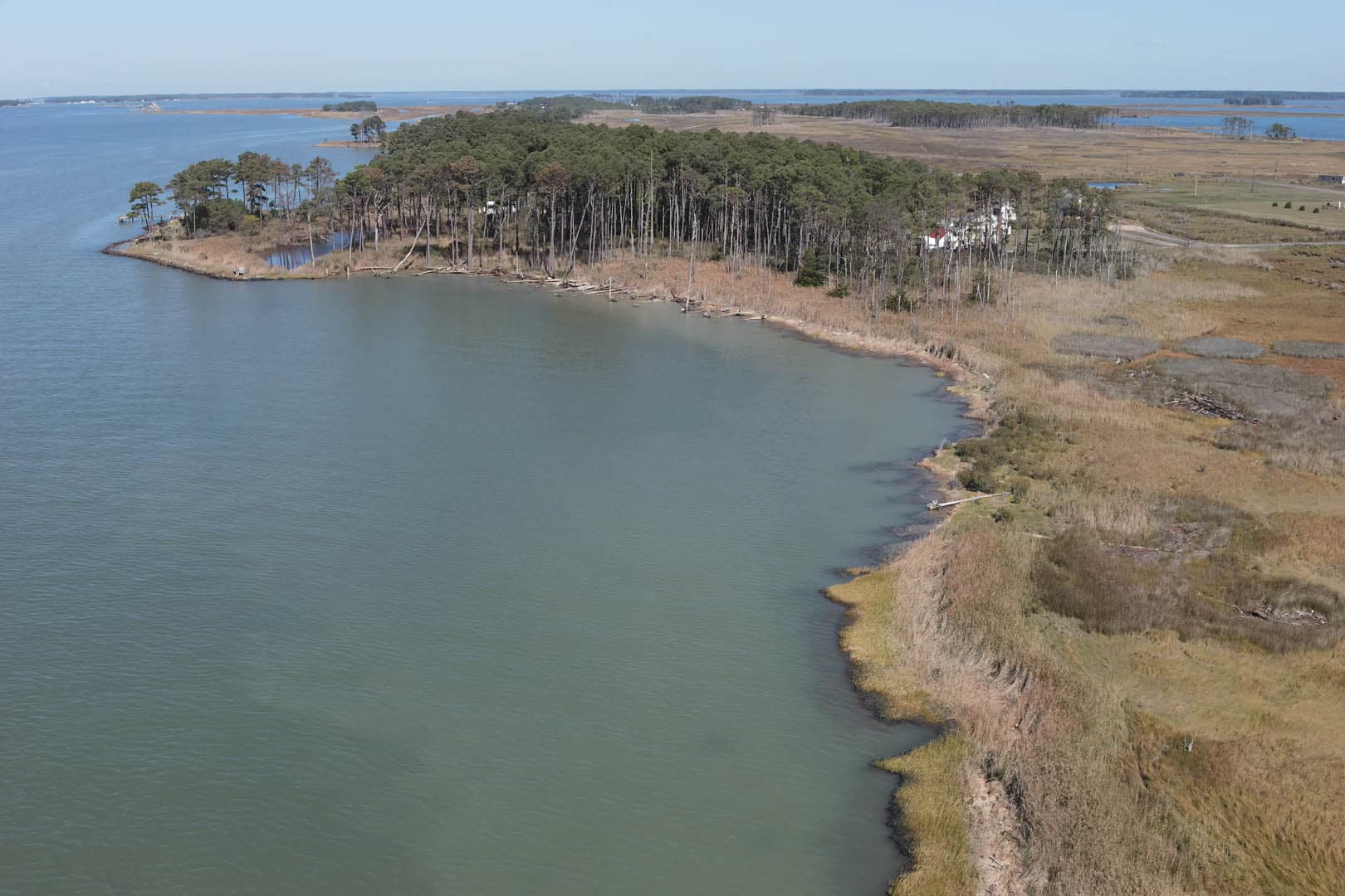 Dorchester County Shoreline Resilience - photo 13