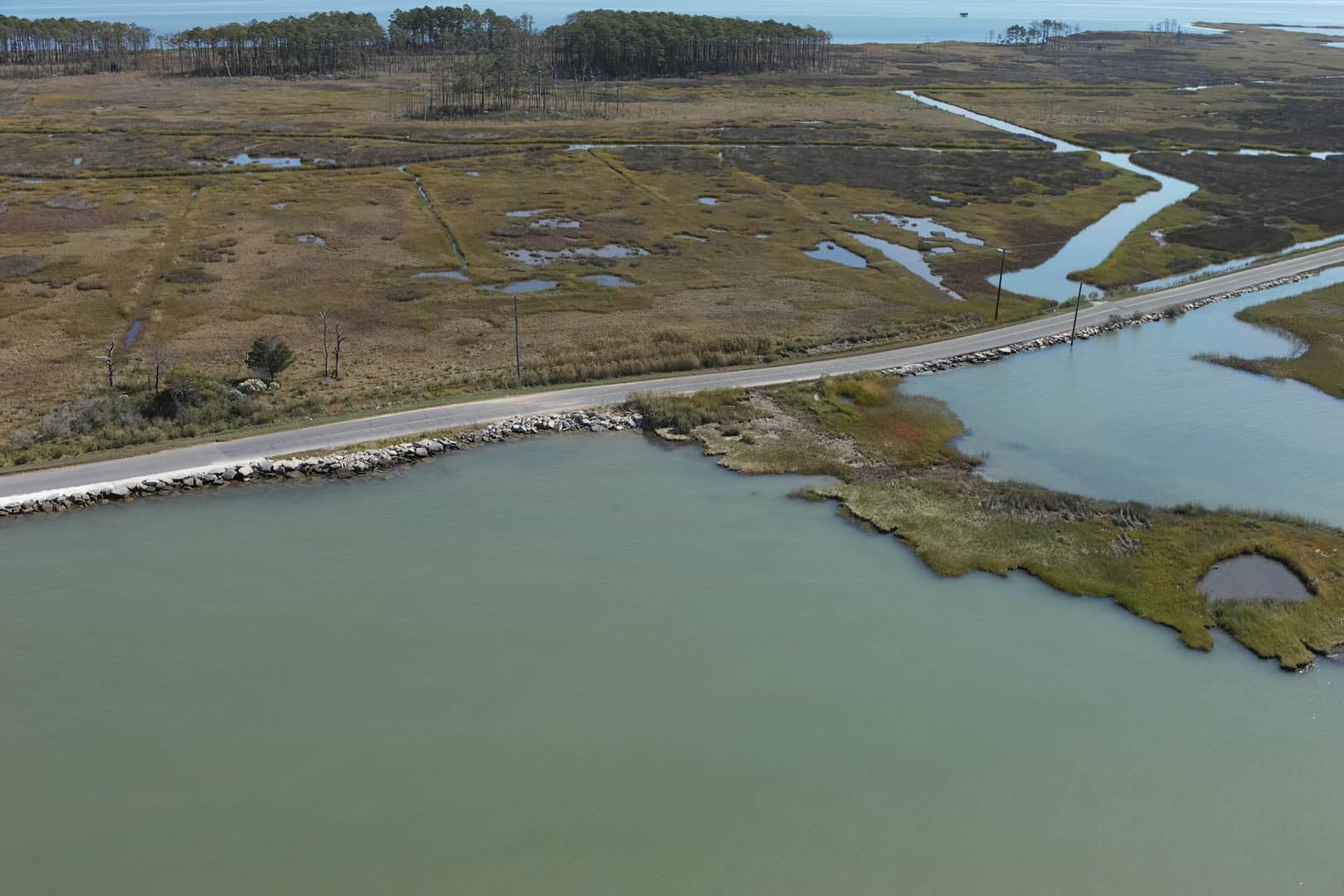Dorchester County Shoreline Resilience - photo 2