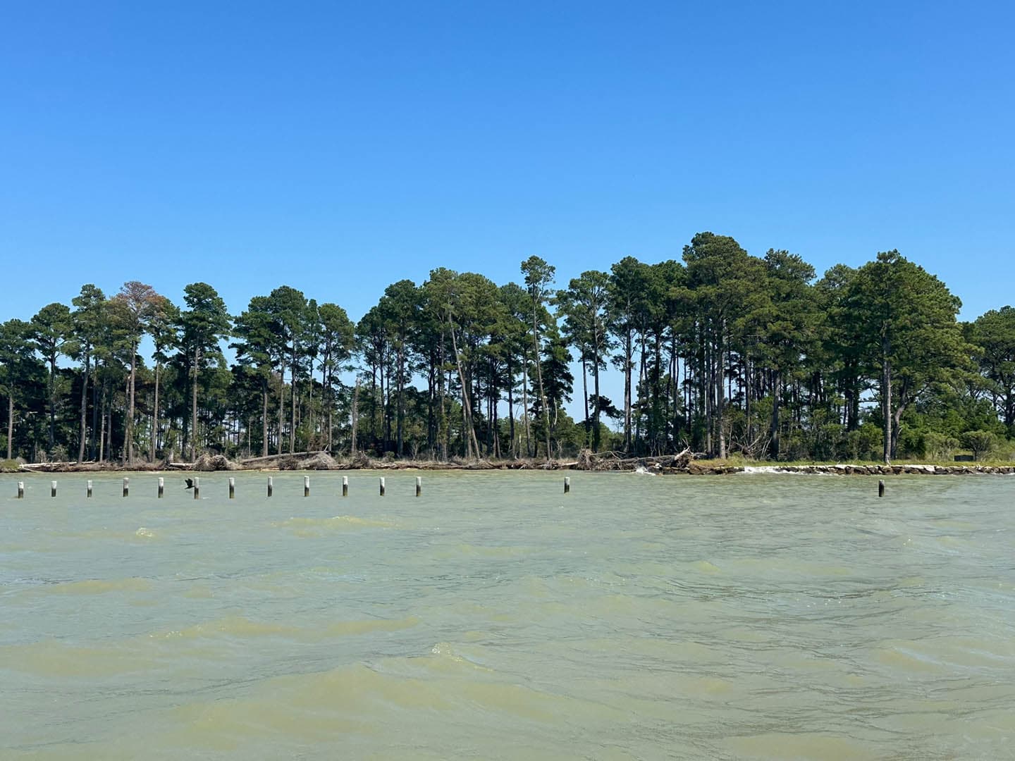 Dorchester County Shoreline Resilience - photo 22