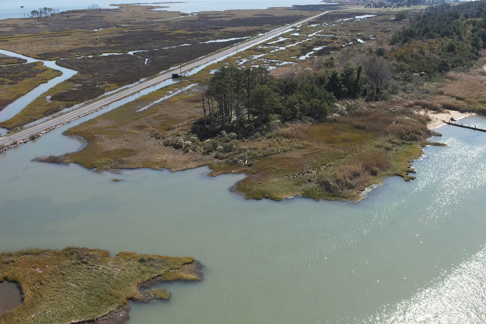 Dorchester County Shoreline Resilience - photo 3