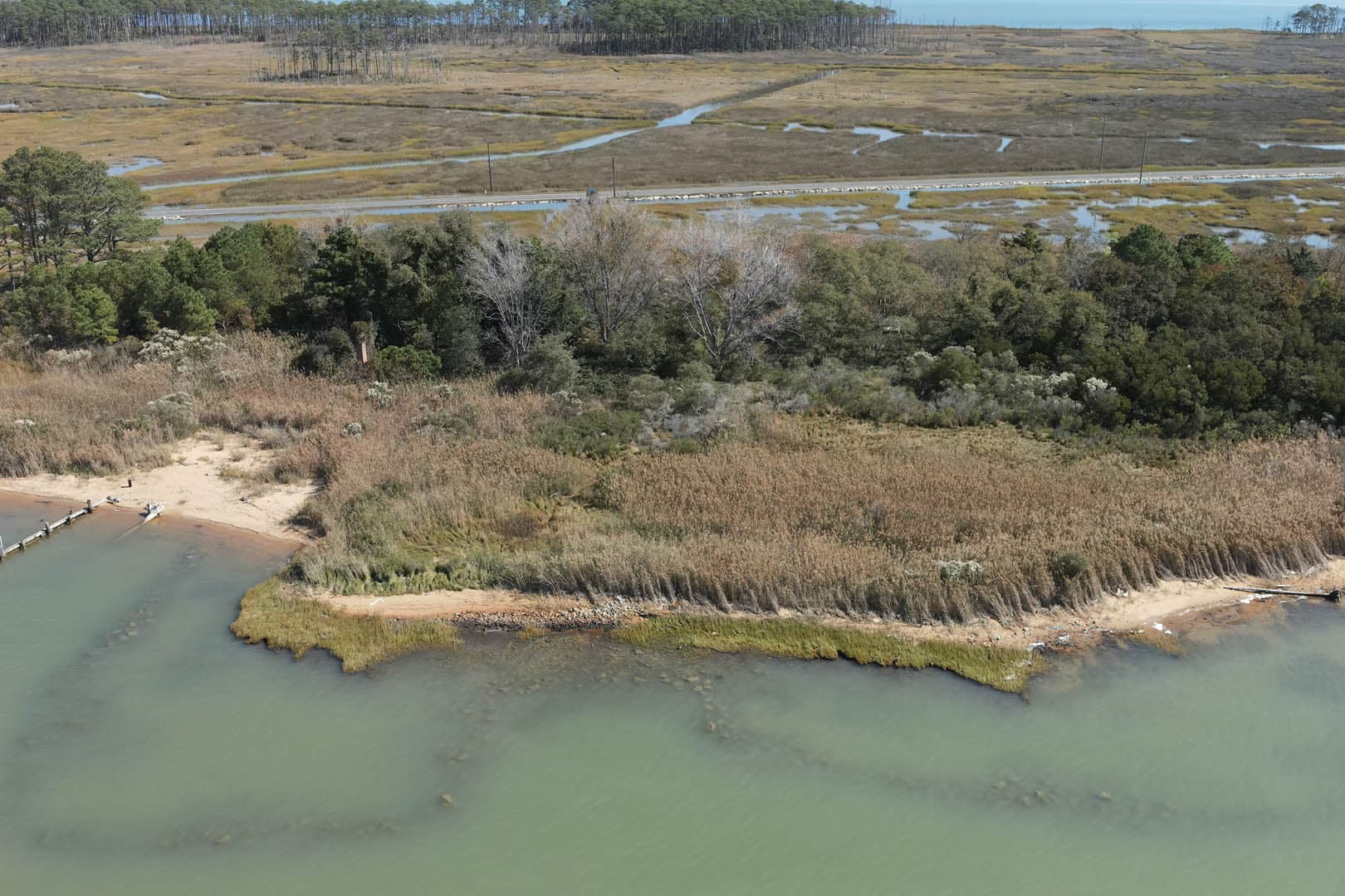 Dorchester County Shoreline Resilience - photo 5
