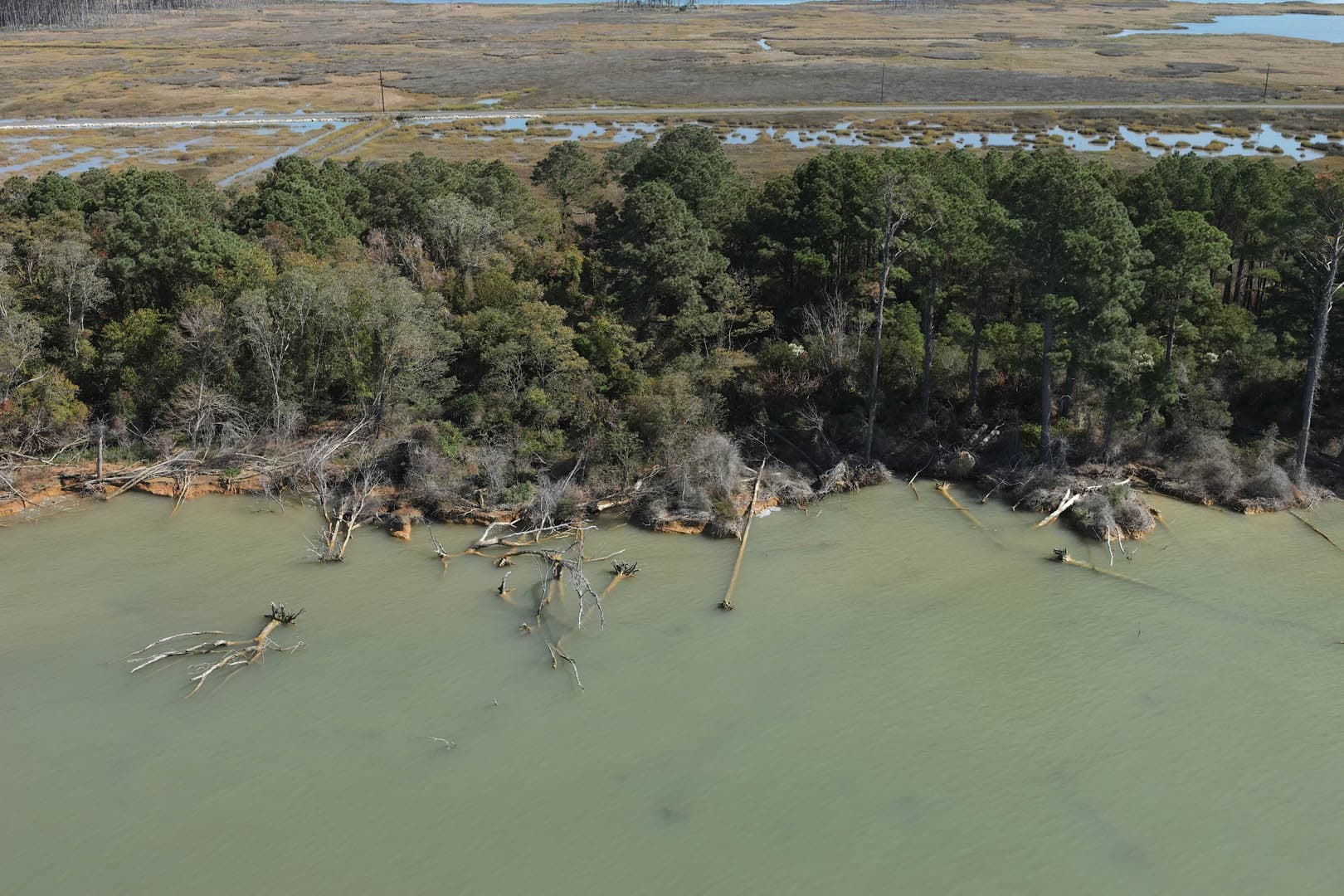 Dorchester County Shoreline Resilience - photo 6