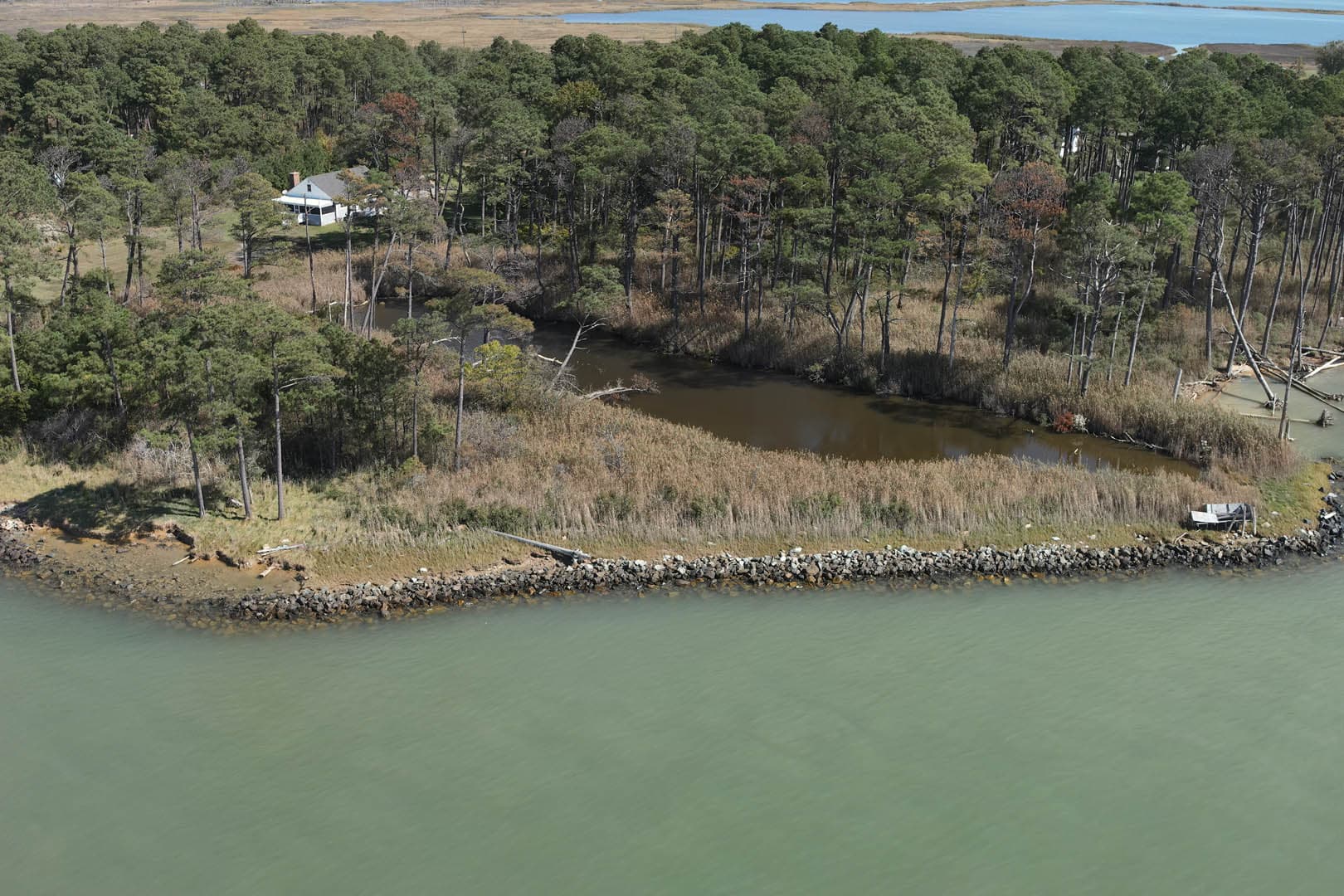 Dorchester County Shoreline Resilience - photo 9
