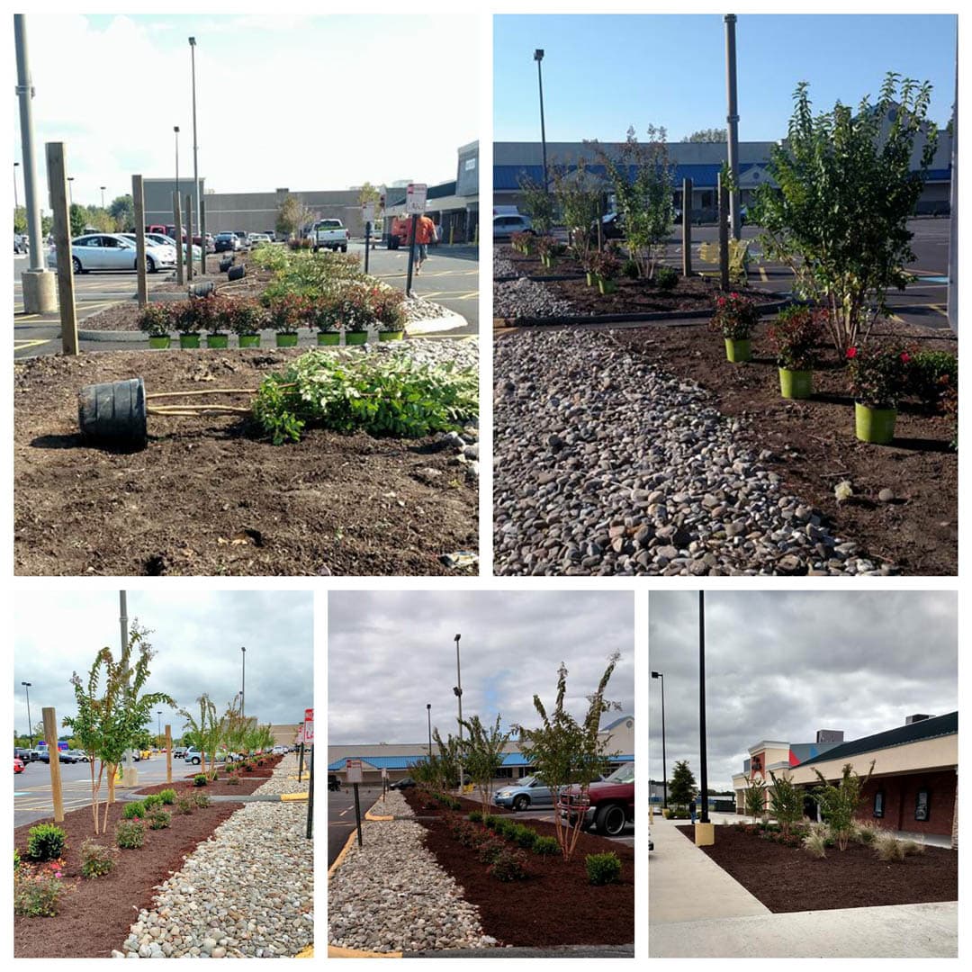 Dorchester Square Shopping Center - photo 8