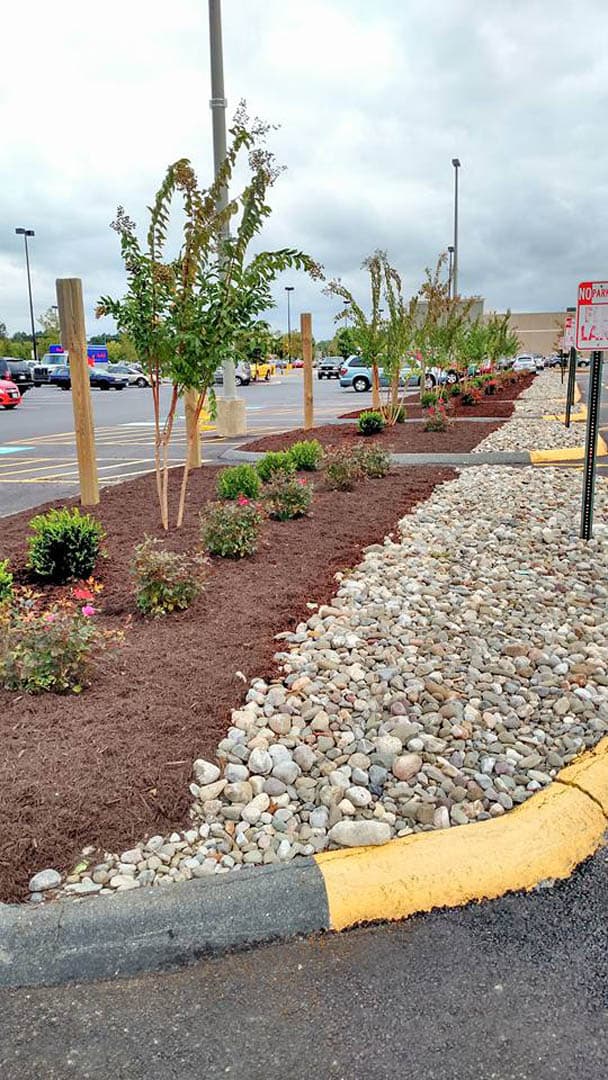 Dorchester Square Shopping Center - photo 10