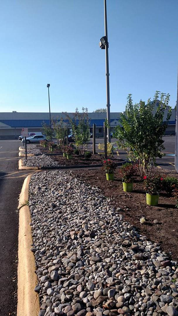 Dorchester Square Shopping Center - photo 11