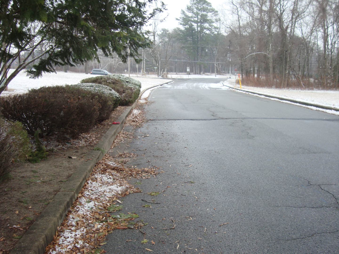 Safe Routes to School - photo 17