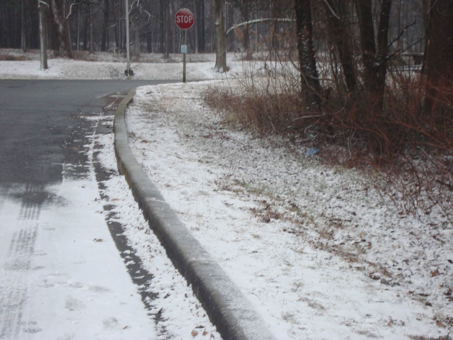 Safe Routes to School - photo 19