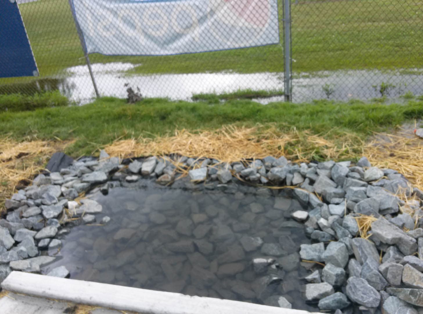 Safe Routes to School - photo 2