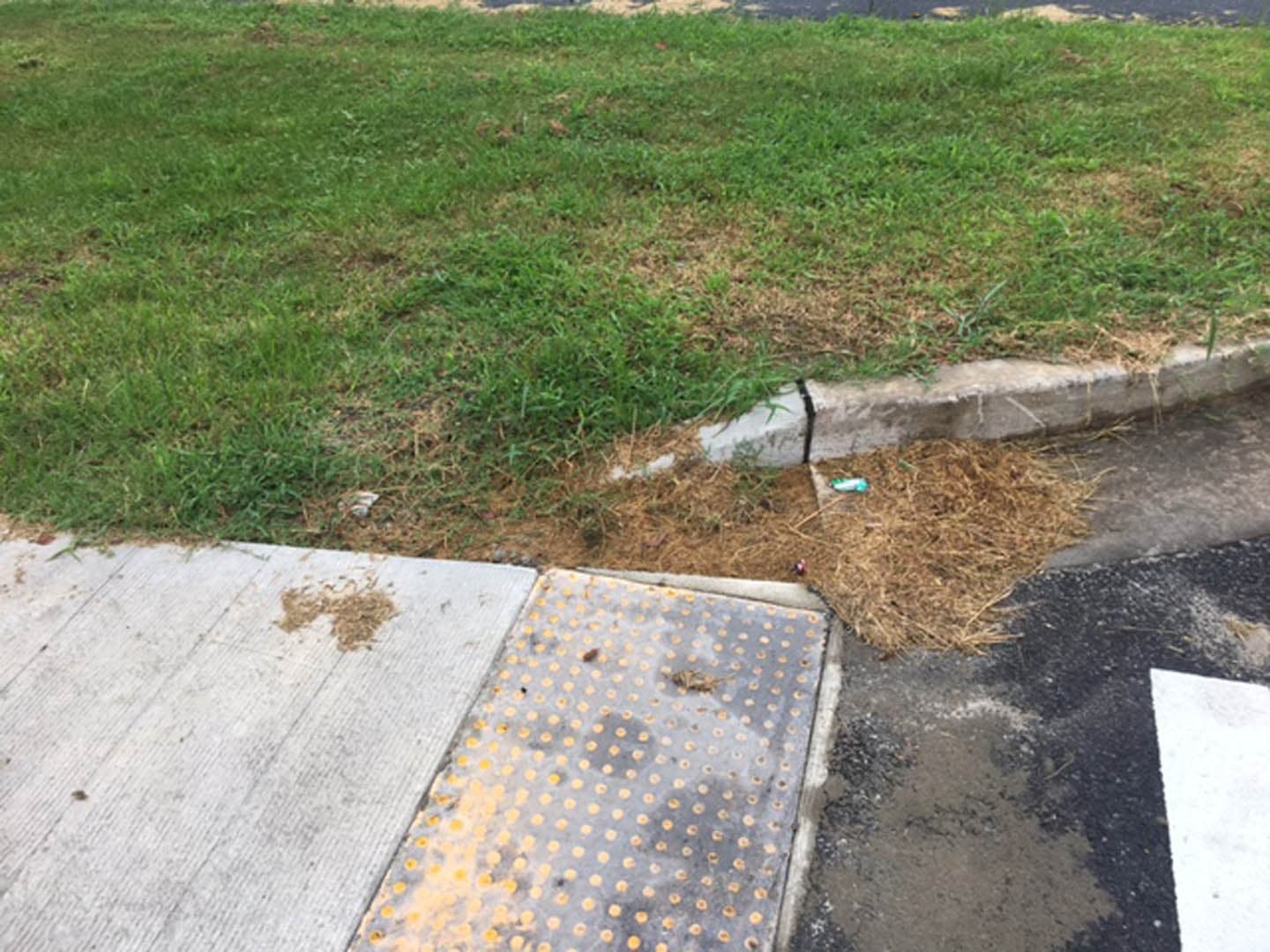 Safe Routes to School - photo 29