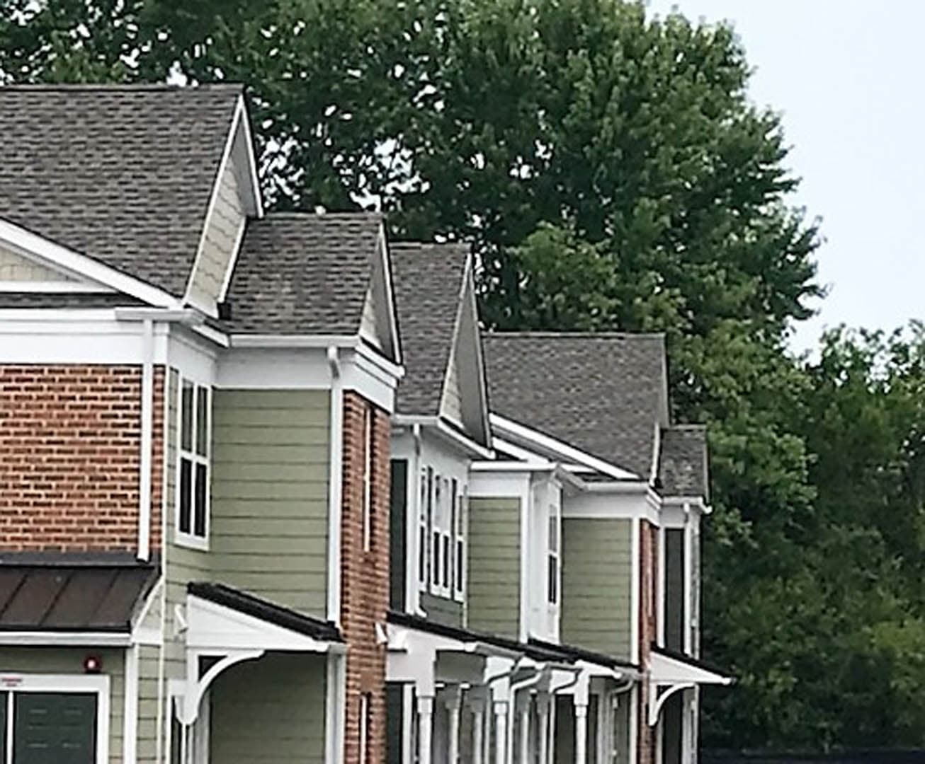 Galloway Meadows - photo 3