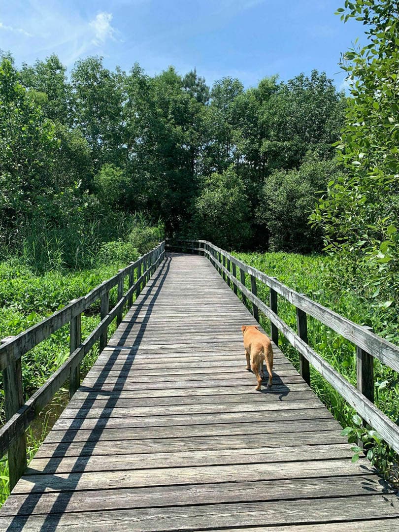 Marina Park - photo 4