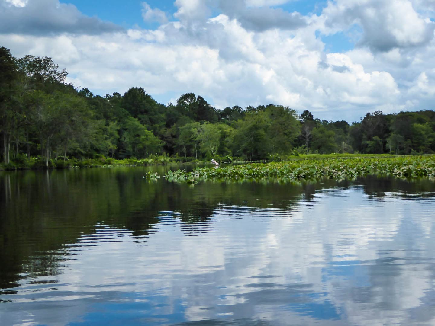 Marina Park - photo 5