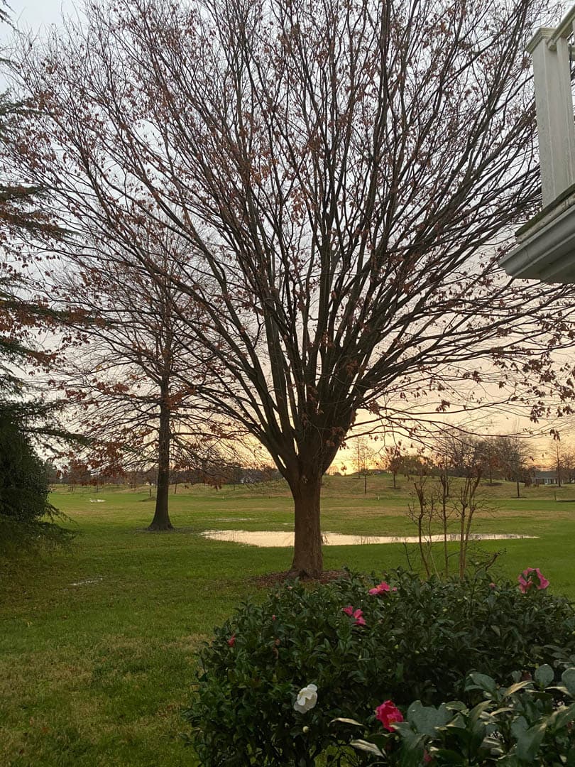 Martingham Stormwater Project - photo 10