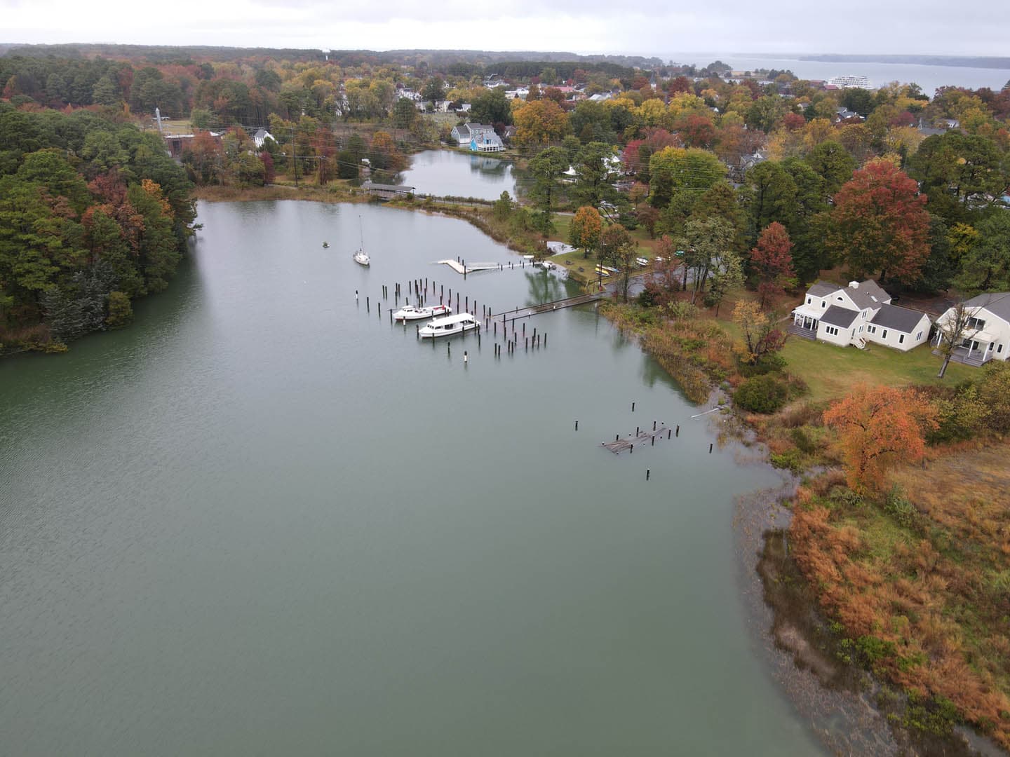 San Domingo Creek Park - photo 4