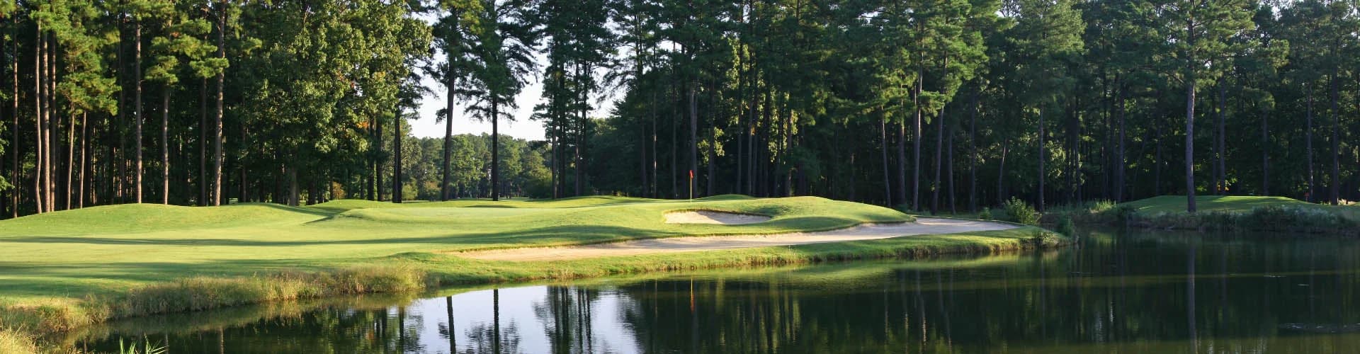 Swan Point Stormwater & Sediment Control - photo 2