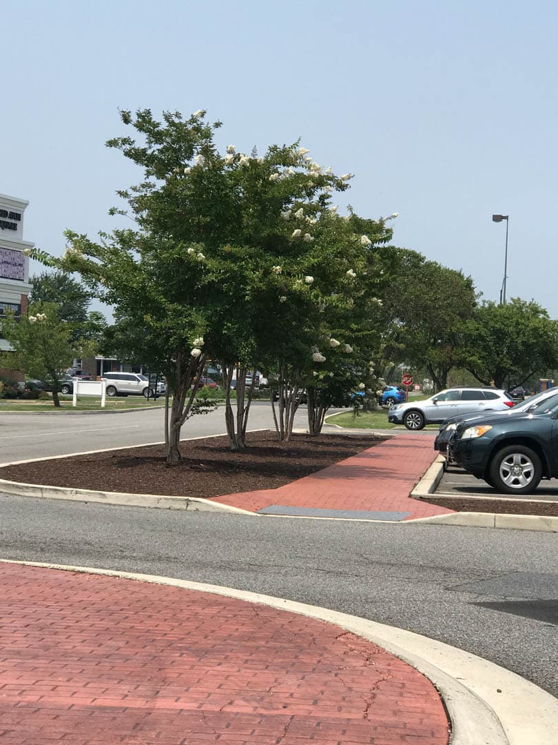 Tred Avon Shopping Center - photo 4