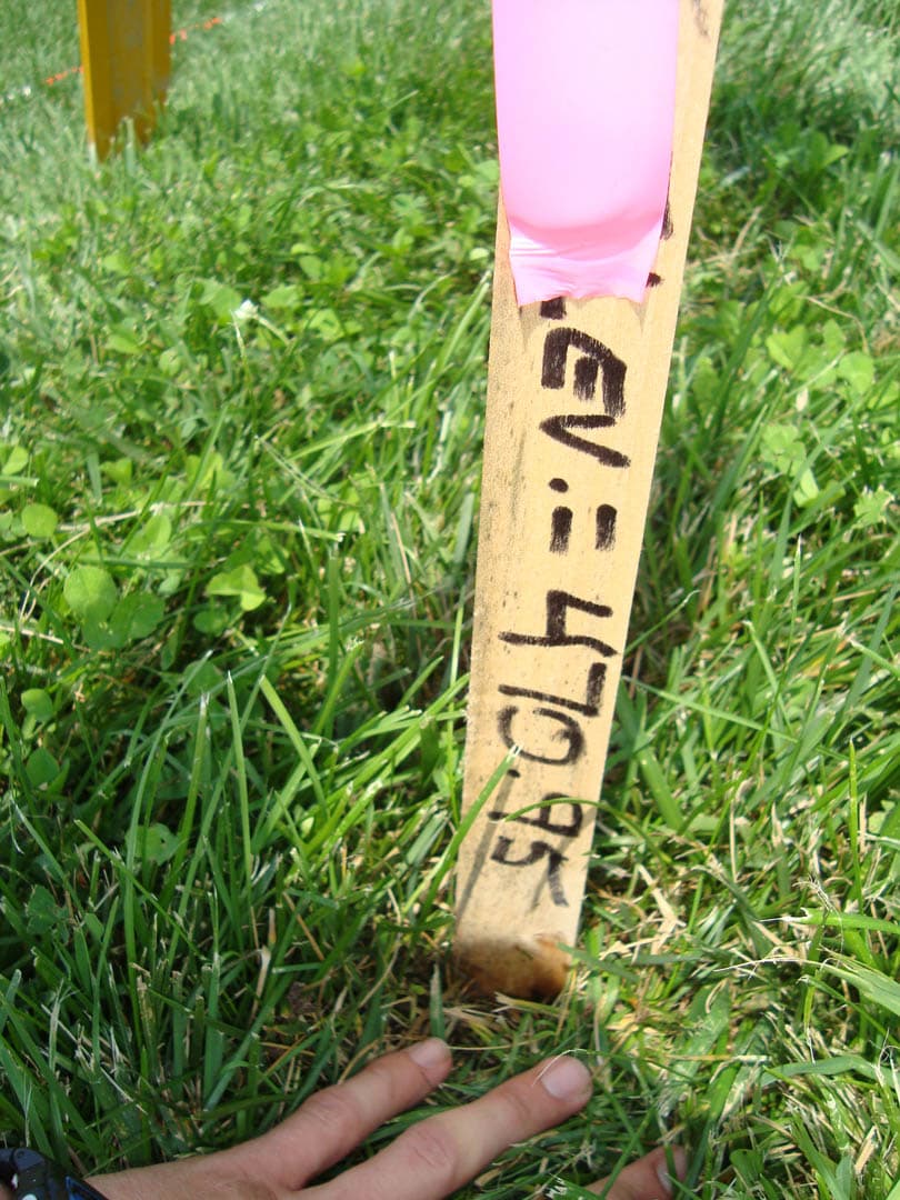 Close-up of a wooden survey hub stake set in grass with handwritten elevation marking and pink flagging tape